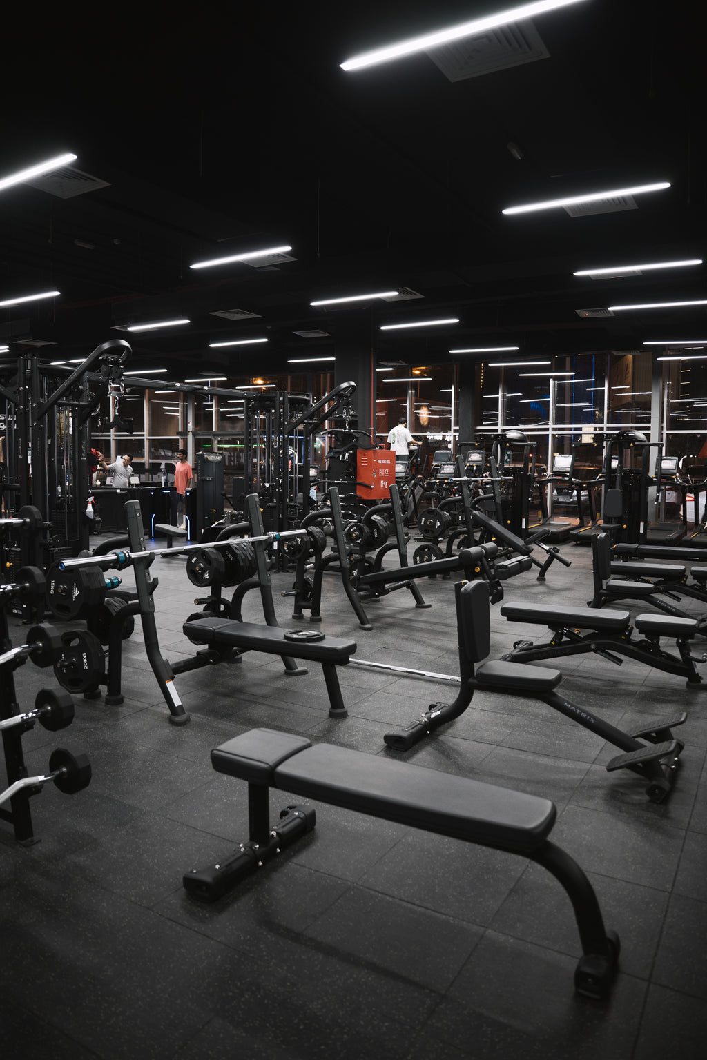 GYM ACCESS: CALISTHENICS OPEN GYM + WEIGHTLFTING ( FULL ACCESS )