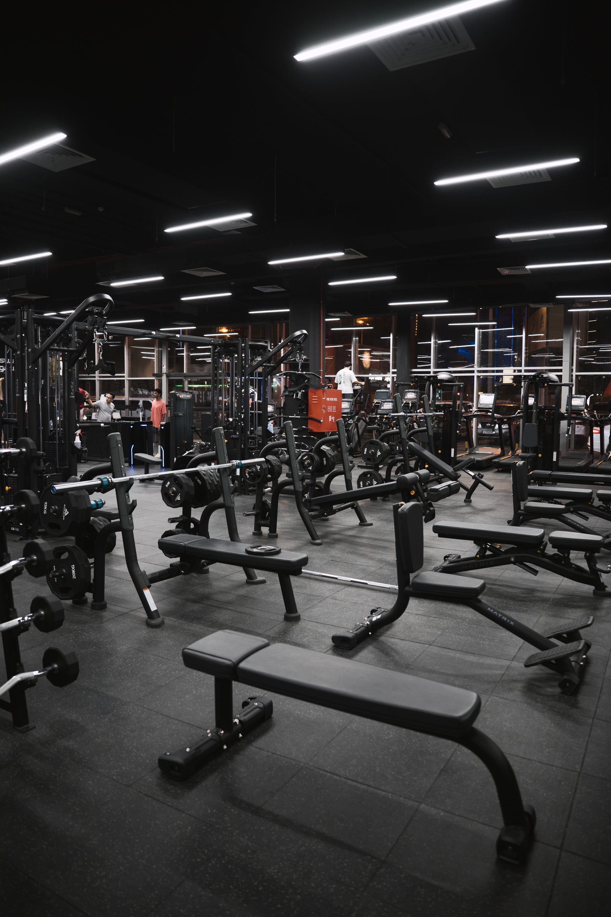 GYM ACCESS: CALISTHENICS OPEN GYM + WEIGHTLFTING ( FULL ACCESS )