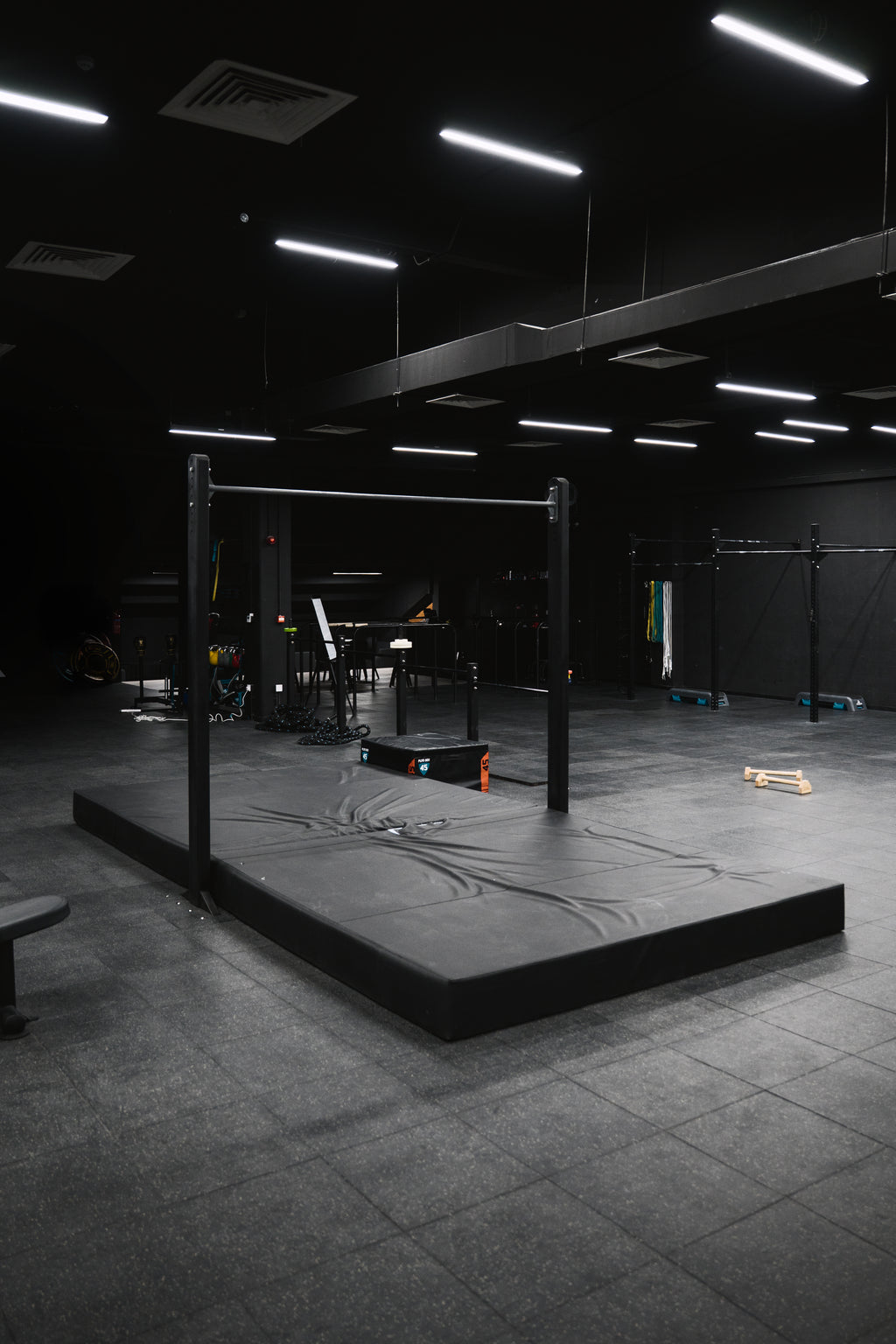 GYM ACCESS: CALISTHENICS OPEN GYM + WEIGHTLFTING ( FULL ACCESS )