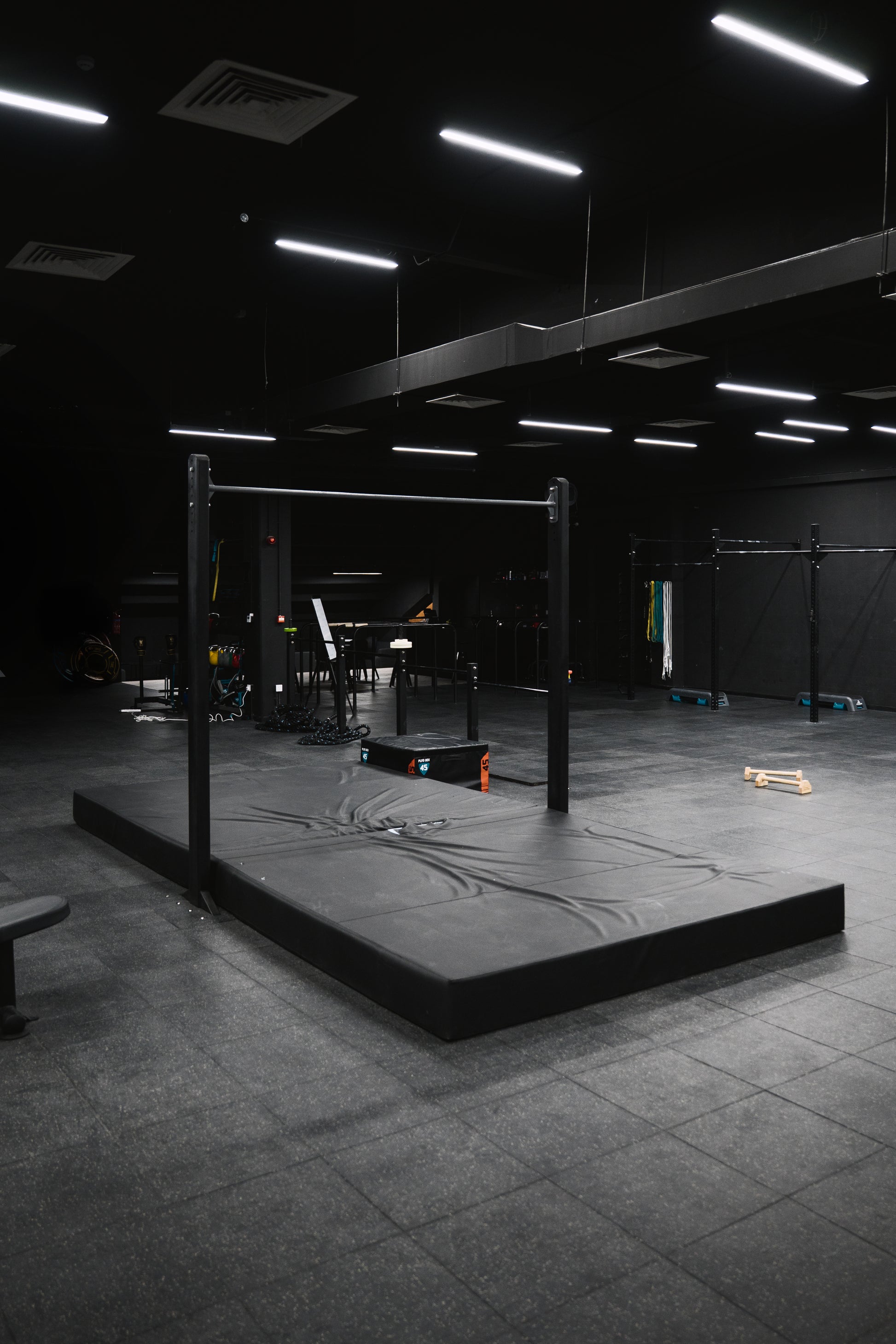 GYM ACCESS: CALISTHENICS OPEN GYM + WEIGHTLFTING ( FULL ACCESS )