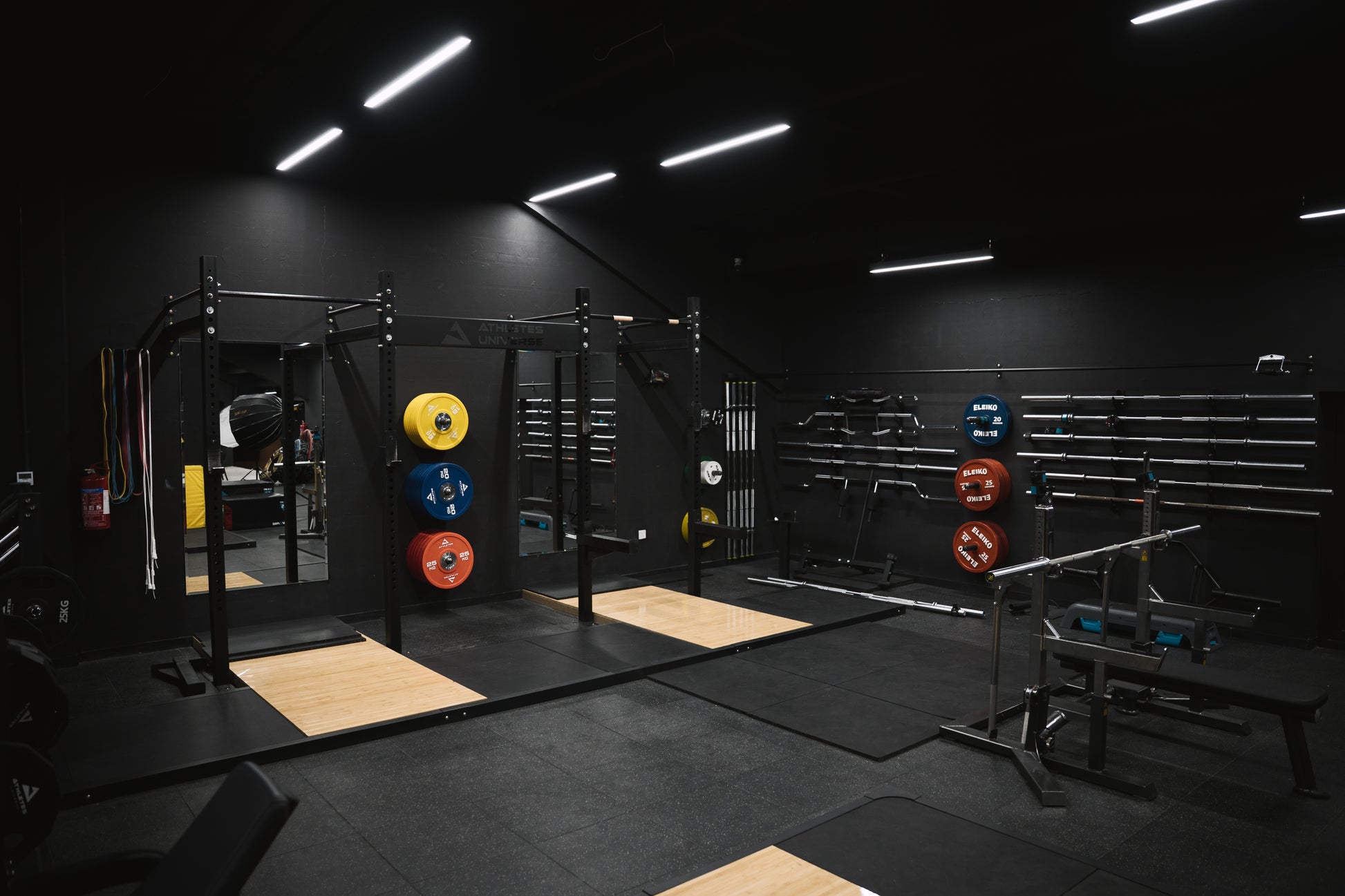 GYM ACCESS: CALISTHENICS OPEN GYM + WEIGHTLFTING ( FULL ACCESS )