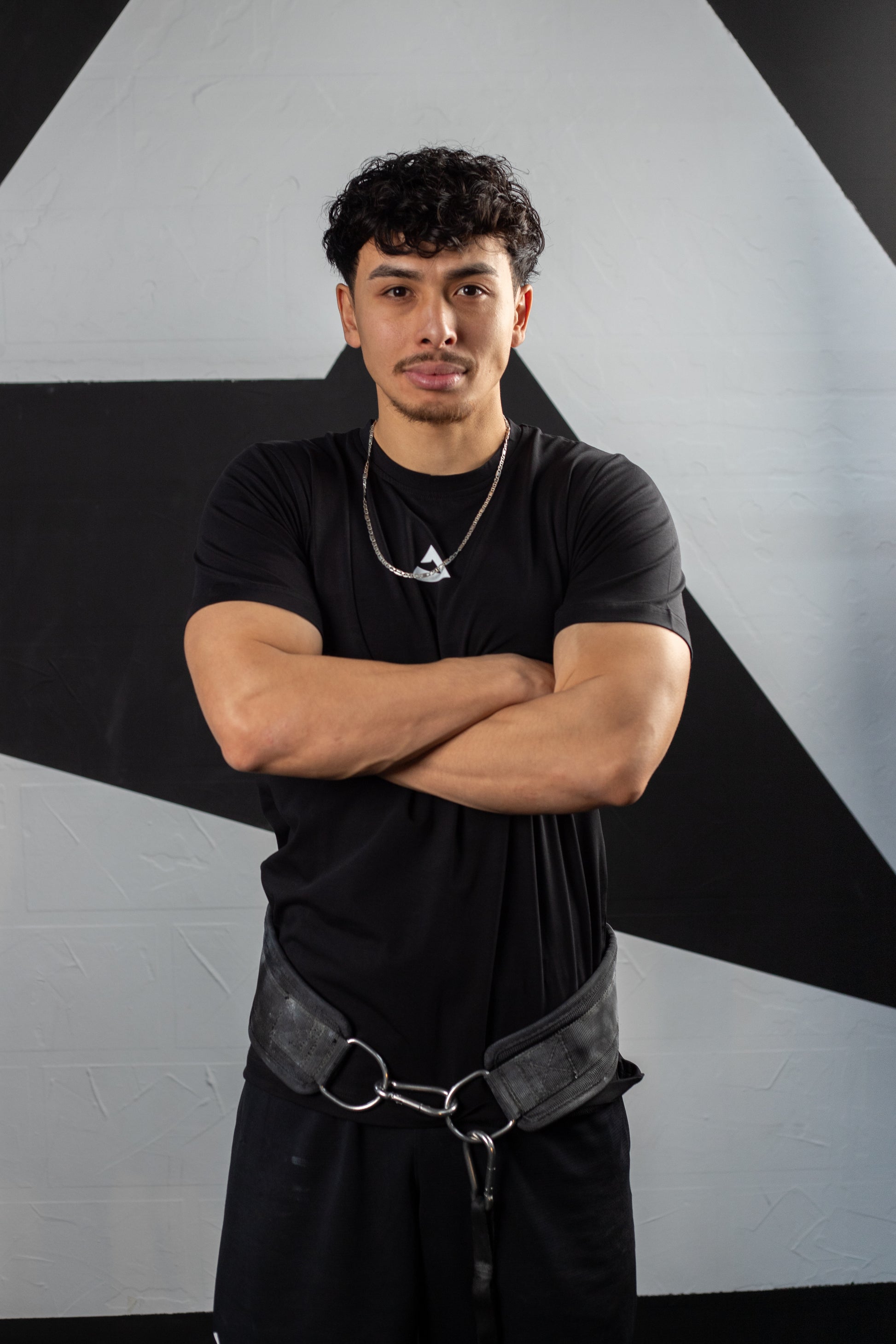 ONLINE CALISTHENICS & WEIGHTLIFTING PROGRAM